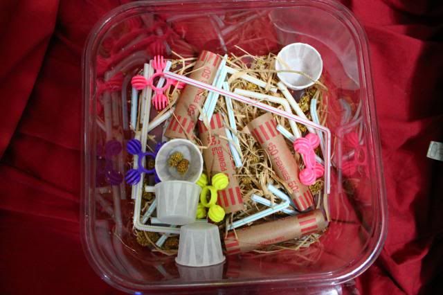 foraging toys for mice